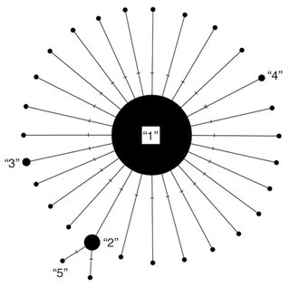 Haplotype network with haplotypes labelled 1 to 5 by frequency: a very large central haplotype (1) with many small haplotypes joined to it by short branches; haplotypes 2, 3 and 4 are a little larger.
