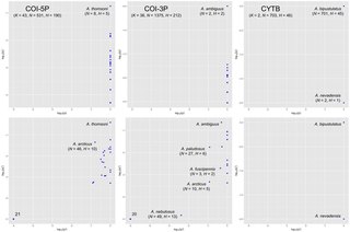 Six scatter plots of Agabus species in two rows and three columns, one column each for the COI-5P, COI-3P and CYTB data sets: the top row plots log10(q) against log10(p) and the bottom row log10(q') against log10(p'). Each blue point is a species, a few are named, and in the COI plots most lie along the right-hand edge where log10(p) is 0.