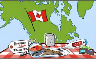 Illustration: a Canadian flag on a map of North America above a picnic table holding a price tag (snapper $22/lb, tilapia $7/lb), a magnifying glass over two fish, a plate with a fish, a thermometer reading 102.5 and a wallet.